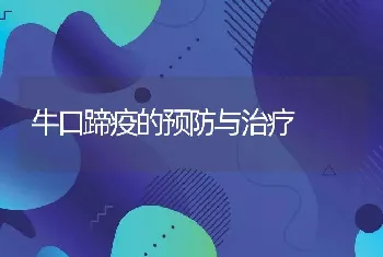 牛口蹄疫的预防与治疗