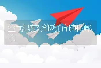 空气湿度对雏鸡育雏期的影响