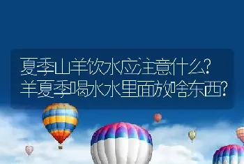 夏季山羊饮水应注意什么?羊夏季喝水水里面放啥东西?