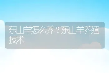 东山羊怎么养？东山羊养殖技术