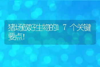 猪场做好生物的17个关键要点！