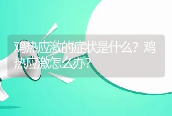 鸡热应激的症状是什么？鸡热应激怎么办？