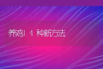 后备种獭兔应该长到2kg后确定