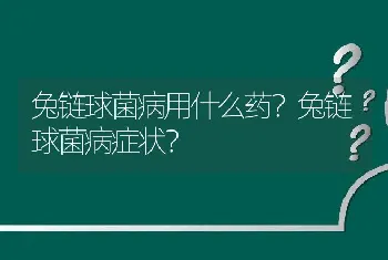 兔链球菌病用什么药？兔链球菌病症状？