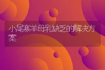 小尾寒羊母乳缺乏的解决方案