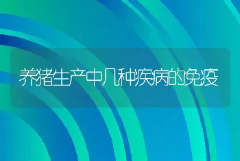 养猪生产中几种疾病的免疫