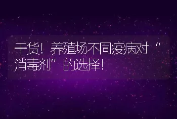 干货！养殖场不同疫病对“消毒剂”的选择！