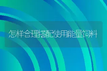 怎样合理搭配使用能量饲料