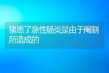 猪患了急性肠炎是由于阉割所造成的