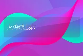 蝎子夏季的管理要点