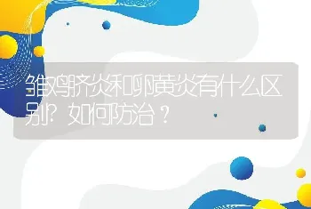 雏鸡脐炎和卵黄炎有什么区别?如何防治？