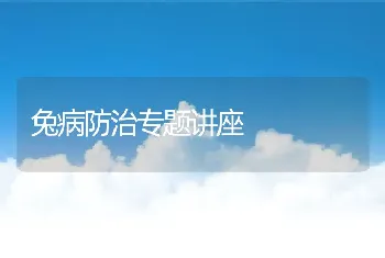 兔病防治专题讲座