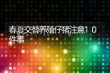 春夏交替养殖仔猪注意10件事