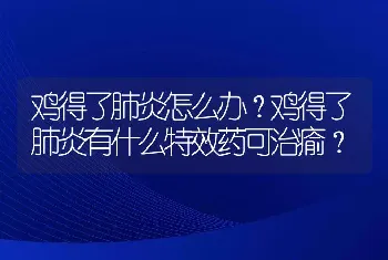 鸡得了肺炎怎么办？鸡得了肺炎有什么特效药可治瘉？