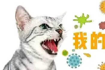 猫咪的嘴很臭，猫咪口臭是什么原因引起的？