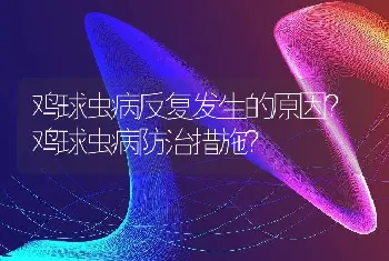 羊得了流感怎么办？羊流感用什么药效果好？