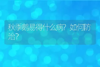 秋季鹅易得什么病?如何防治？