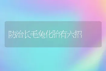 防治长毛兔化胎有六招