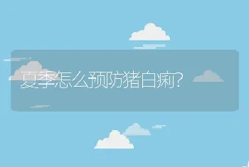 夏季怎么预防猪白痢？