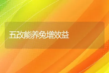 五改能养兔增效益