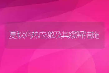 夏秋鸡热应激及其缓解措施