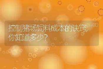 控制猪场饲料成本的诀窍,你知道多少？