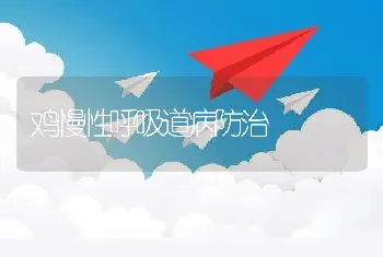 鸡慢性呼吸道病防治