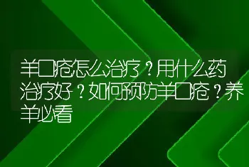 羊口疮怎么治疗？用什么药治疗好？如何预防羊口疮？养羊必看