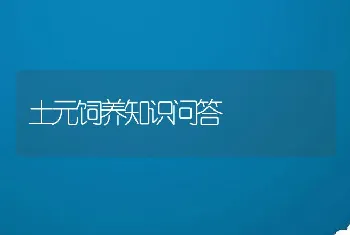 土元饲养知识问答