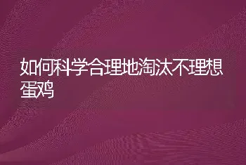 如何科学合理地淘汰不理想蛋鸡