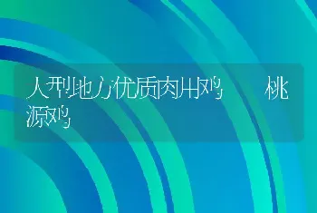 大型地方优质肉用鸡――桃源鸡