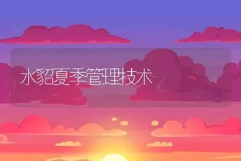 水貂夏季管理技术