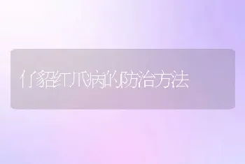 仔貂红爪病的防治方法