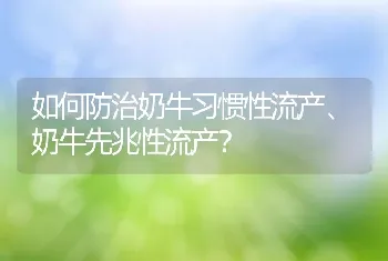 如何防治奶牛习惯性流产、奶牛先兆性流产？