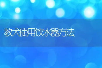 教犬使用饮水器方法