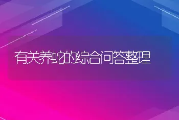 有关养蛇的综合问答整理