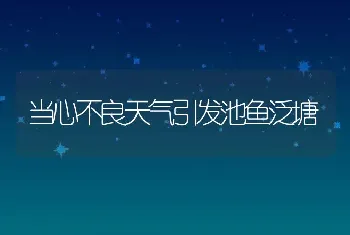 当心不良天气引发池鱼泛塘