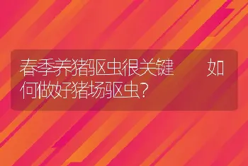 春季养猪驱虫很关键  如何做好猪场驱虫？