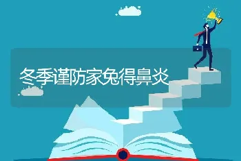 冬季谨防家兔得鼻炎