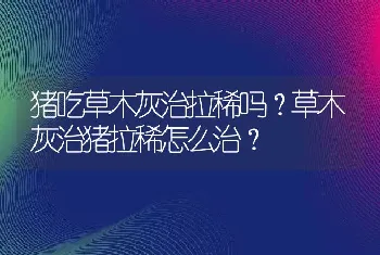 猪吃草木灰治拉稀吗？草木灰治猪拉稀怎么治？