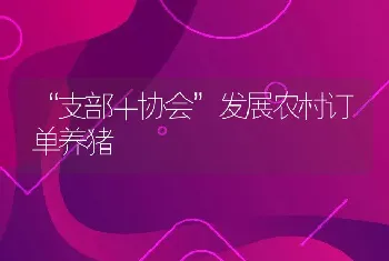 “支部＋协会”发展农村订单养猪