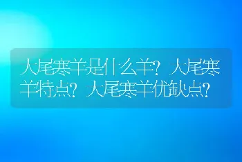 大尾寒羊是什么羊？大尾寒羊特点？大尾寒羊优缺点？