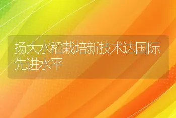 扬大水稻栽培新技术达国际先进水平