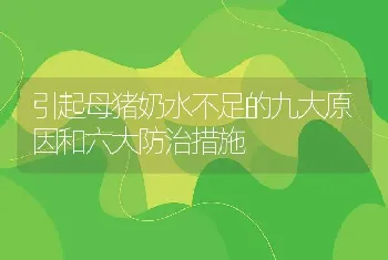 引起母猪奶水不足的九大原因和六大防治措施