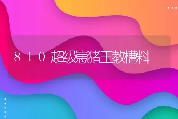 810超级崽猪王教槽料