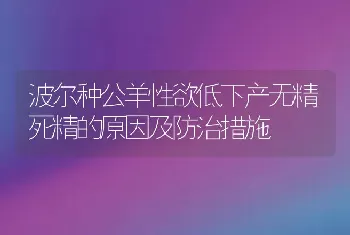 波尔种公羊性欲低下产无精死精的原因及防治措施