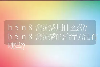 h5n8禽流感用什么药?h5n8禽流感的治疗方法有哪些?