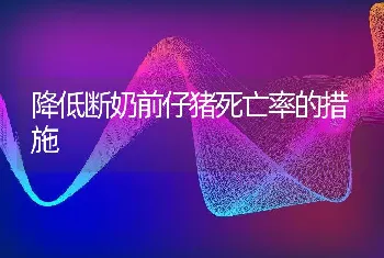 倍蒂纳火鸡孵化的技术要领