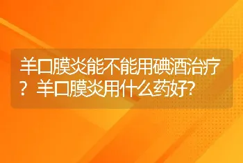 羊口膜炎能不能用碘酒治疗?羊口膜炎用什么药好？