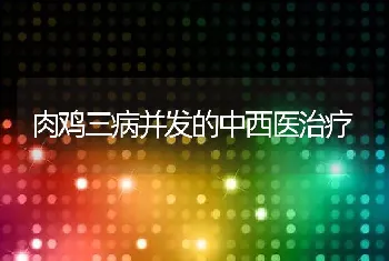 肉鸡三病并发的中西医治疗